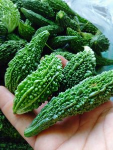 công dụng của mướp đắng khô