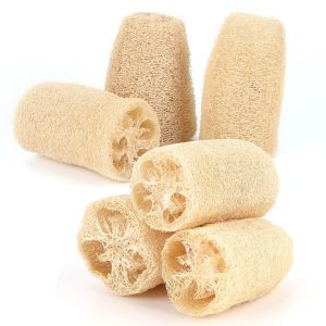cây bông tắm chà lưng