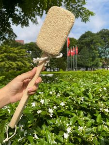 cây bông tắm chà lưng