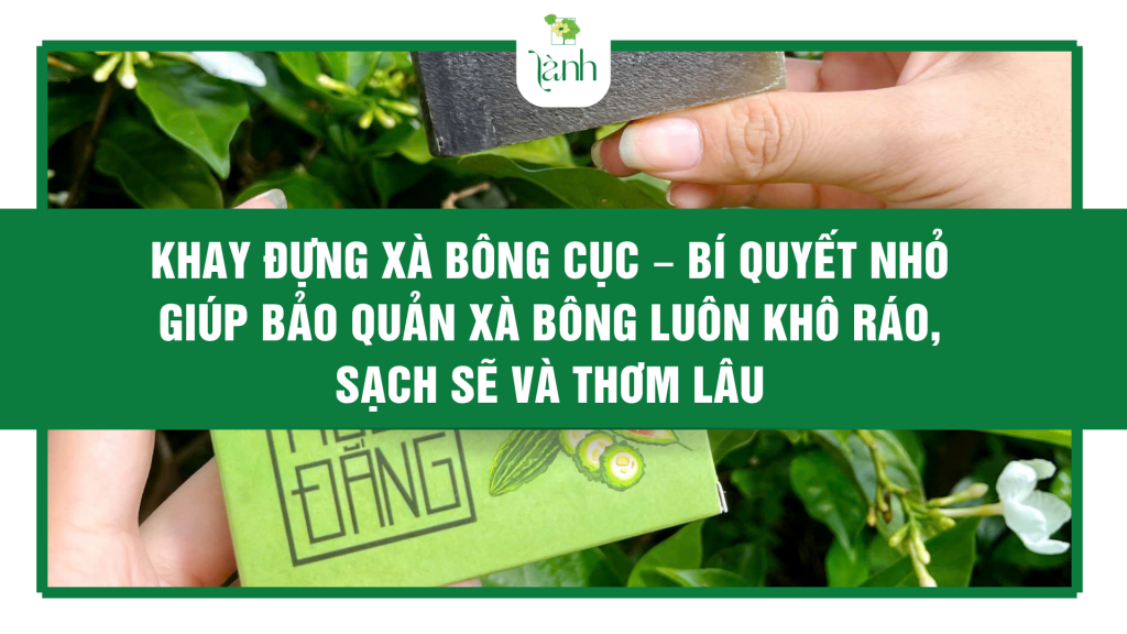 Khay đựng xà bông cục