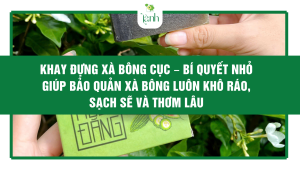 Khay đựng xà bông cục