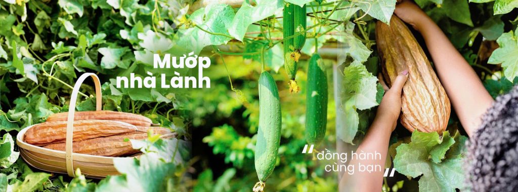 Lành - chăm sóc làn da