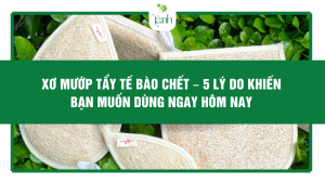 Xơ Mướp Tẩy Tế Bào Chết – 5 Lý Do Khiến Bạn Muốn Dùng Ngay Hôm Nay
