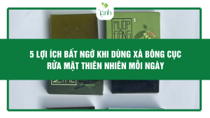 xà bông cục rửa mặt thiên nhiên từ thiên nhiên dịu nhẹ