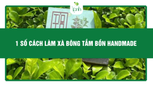 xà bông tắm bồn