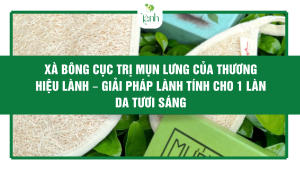 bài viêys