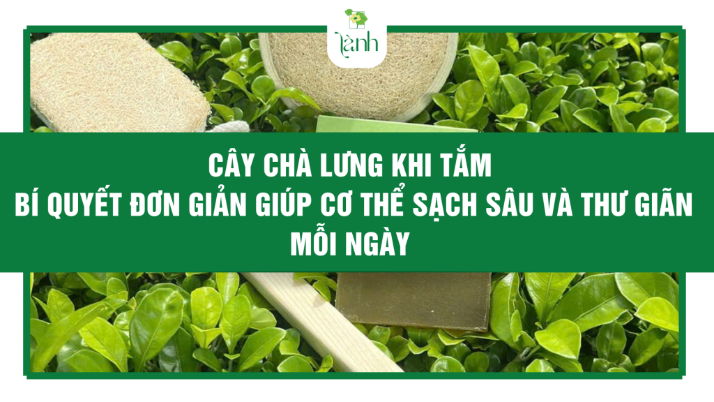 Cây Chà Lưng Khi Tắm