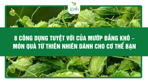 công dụng của mướp đắng khô