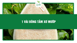 Bông tắm xơ mướp của Lành