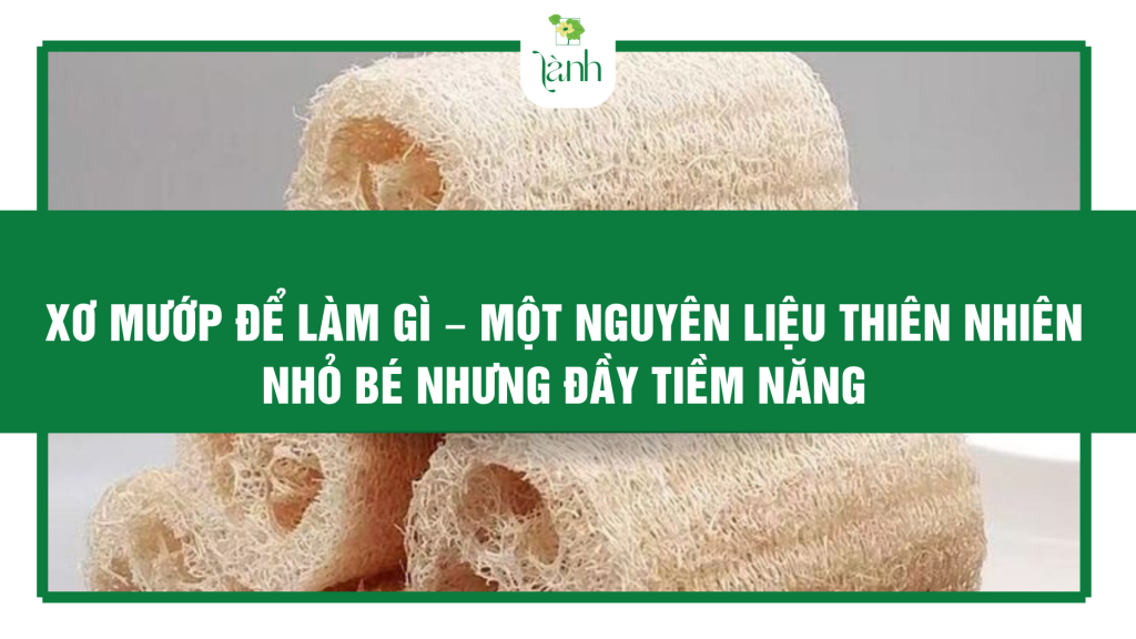 xơ mướp để làm gì