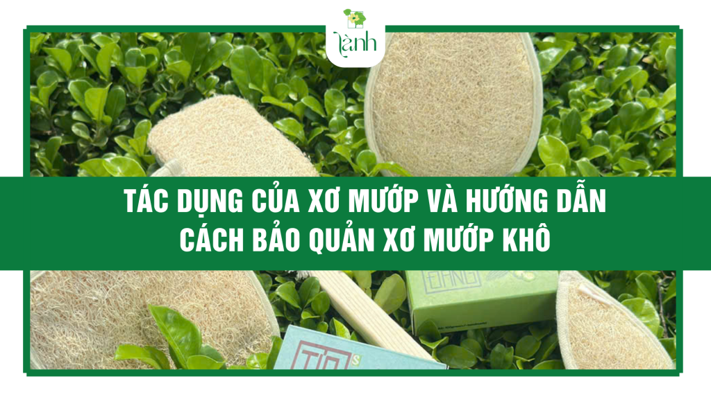 Tác Dụng Của Xơ Mướp
