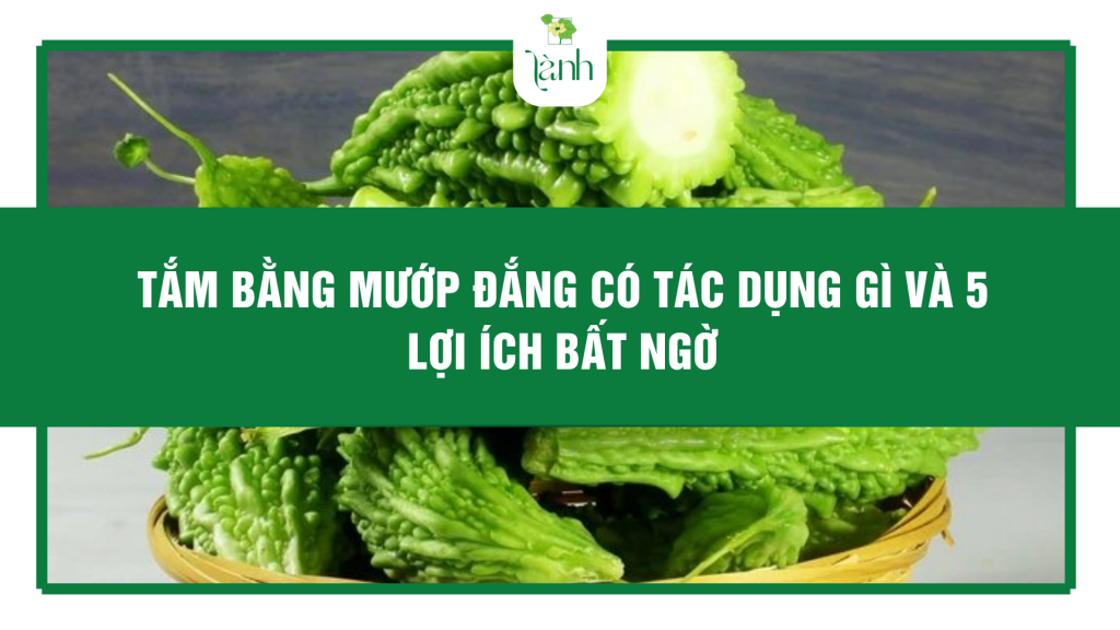 Tắm Bằng Mướp Đắng Có Tác Dụng Gì Và 5 Lợi Ích Bất Ngờ