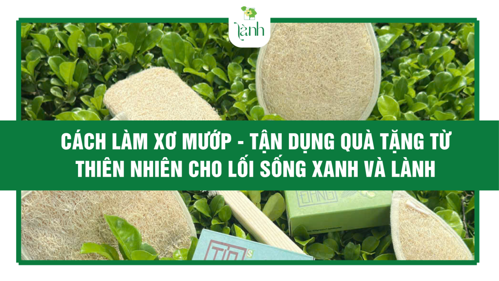 Cách Làm Xơ Mướp
