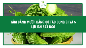 Tắm Bằng Mướp Đắng Có Tác Dụng Gì Và 5 Lợi Ích Bất Ngờ