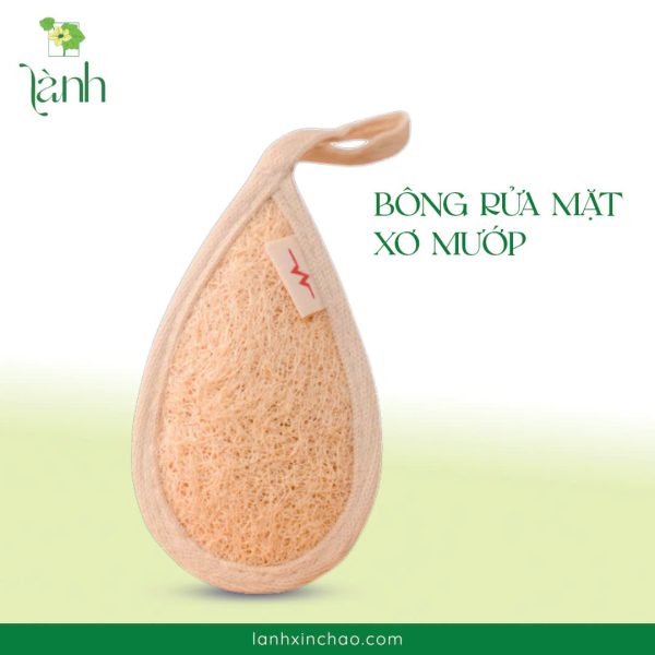 Bông rửa măt