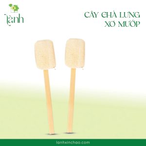 Cây chà lưng xơ mướp