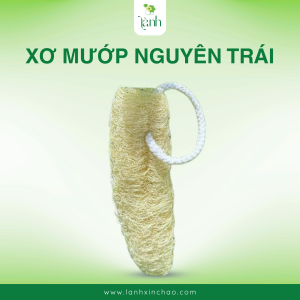 xơ mướp nguyên trái