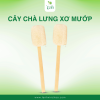 cây chà lưng xơ mướp