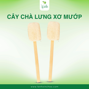 cây chà lưng xơ mướp