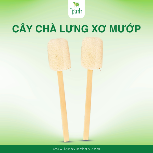 cây chà lưng xơ mướp
