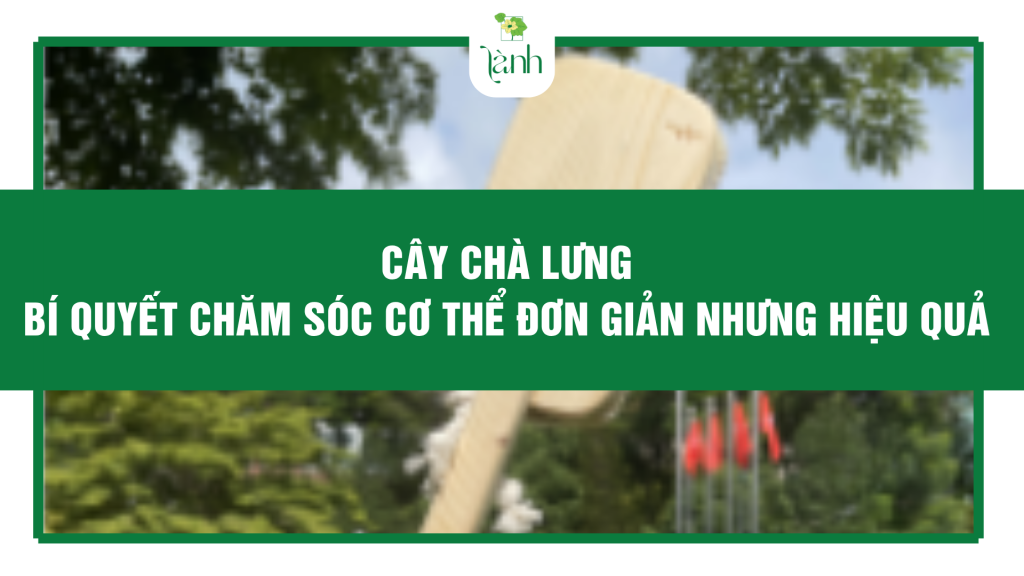 Cây chà lưng