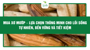 mua xơ mướp