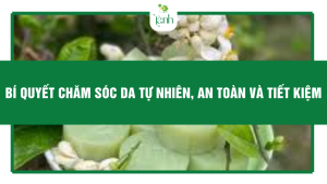Làm Xà Phòng Hoa Bưởi Tại Nhà