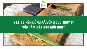 5 Lý Do Nên Dùng Xà Bông Cục Thay Vì Sữa Tắm Hóa Học Mỗi Ngày