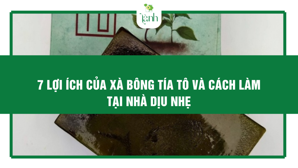7 Lợi Ích Của Xà Bông Tía Tô Và Cách Làm Tại Nhà Dịu Nhẹ