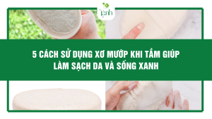5 Cách Sử Dụng Xơ Mướp Khi Tắm Giúp Làm Sạch Da Và Sống Xanh