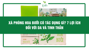 Xà Phòng Hoa Bưởi Có Tác Dụng Gì? 7 Lợi Ích Đối Với Da Và Tinh Thần