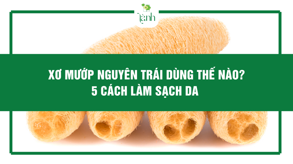 Xơ Mướp Nguyên Trái Dùng Thế Nào? 5 Cách Làm Sạch Da Sống Xanh Tự Nhiên