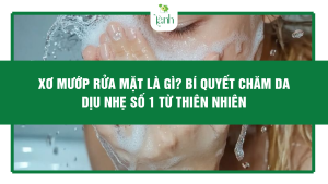 Xơ Mướp Rửa Mặt Là Gì? Bí Quyết Chăm Da Dịu Nhẹ Số 1 Từ Thiên Nhiên