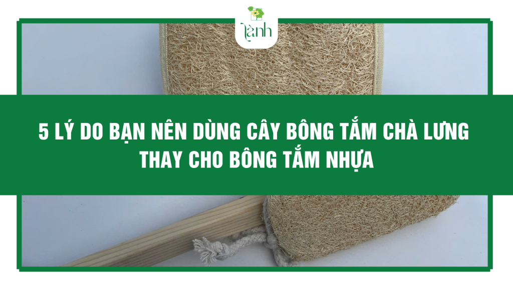 cây bông tắm chà lưng