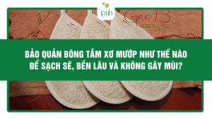 Bảo Quản Bông Tắm Xơ Mướp Như Thế Nào Để Sạch Sẽ, Bền Lâu Và Không Gây Mùi?
