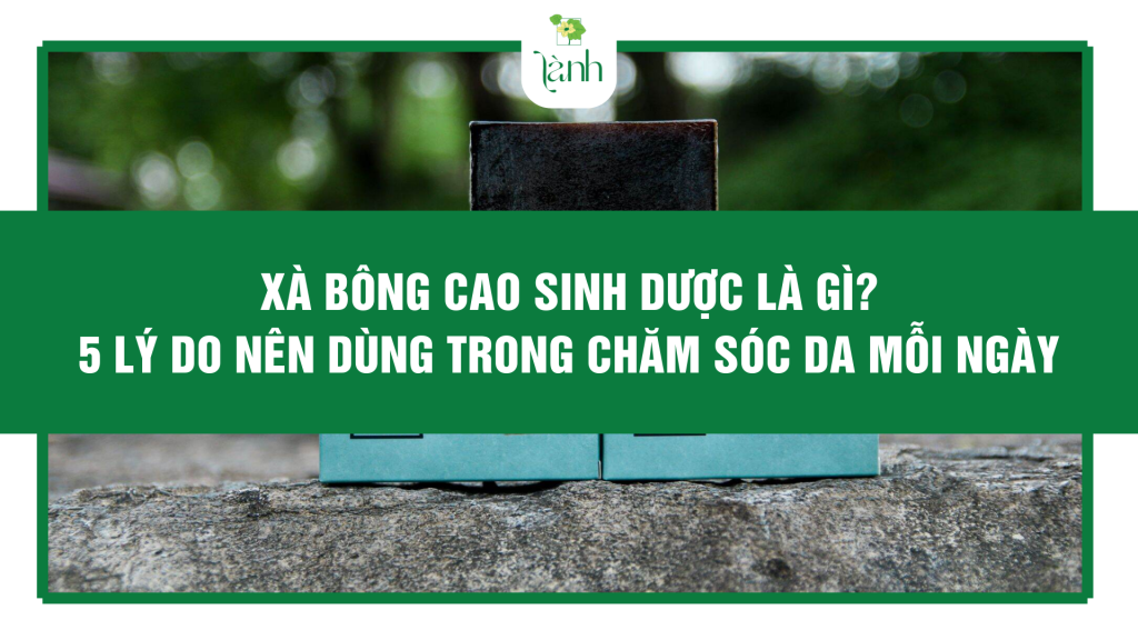Xà Bông Cao Sinh Dược Là Gì? 5 Lý Do Nên Dùng Trong Chăm Sóc Da Mỗi Ngày