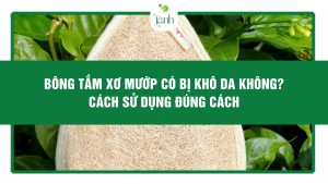 Bông Tắm Xơ Mướp Có Bị Khô Da Không? Cách Sử Dụng Đúng Cách