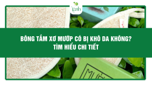 Bông Tắm Xơ Mướp Có Bị Khô Da Không? Tìm Hiểu Chi Tiết