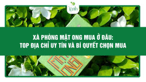 Xà Phòng Mật Ong Mua Ở Đâu: Top Địa Chỉ Uy Tín Và Bí Quyết Chọn Mua