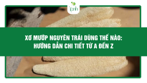 Xơ Mướp Nguyên Trái Dùng Thế Nào: Hướng Dẫn Chi Tiết Từ A Đến Z