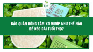 Bảo Quản Bông Tắm Xơ Mướp Như Thế Nào Để Kéo Dài Tuổi Thọ?