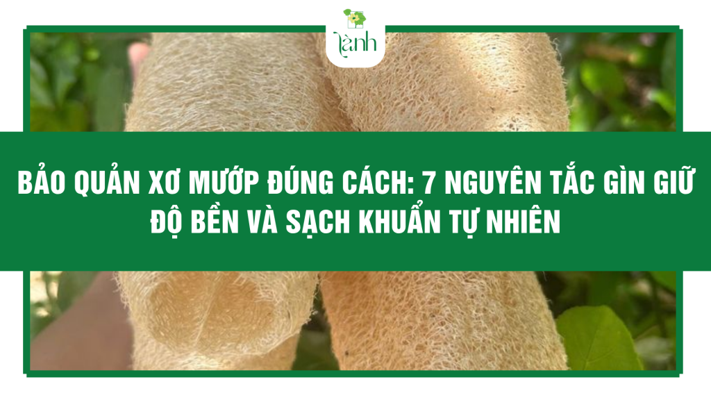 Bảo Quản Xơ Mướp Đúng Cách: 7 Nguyên Tắc Gìn Giữ Độ Bền Và Sạch Khuẩn Tự Nhiên