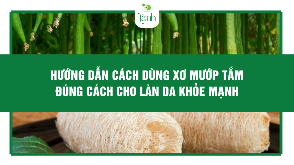 Hướng Dẫn Cách Dùng Xơ Mướp Tắm Đúng Cách Cho Làn Da Khỏe Mạnh