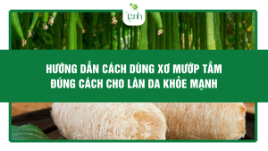 Hướng Dẫn Cách Dùng Xơ Mướp Tắm Đúng Cách Cho Làn Da Khỏe Mạnh