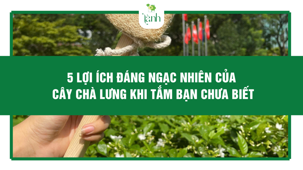 cây chà lưng khi tắm
