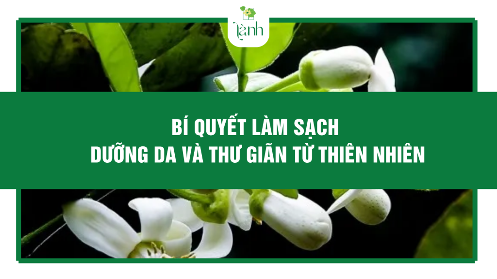 Xà Phòng Hoa Bưởi Có Tác Dụng Gì