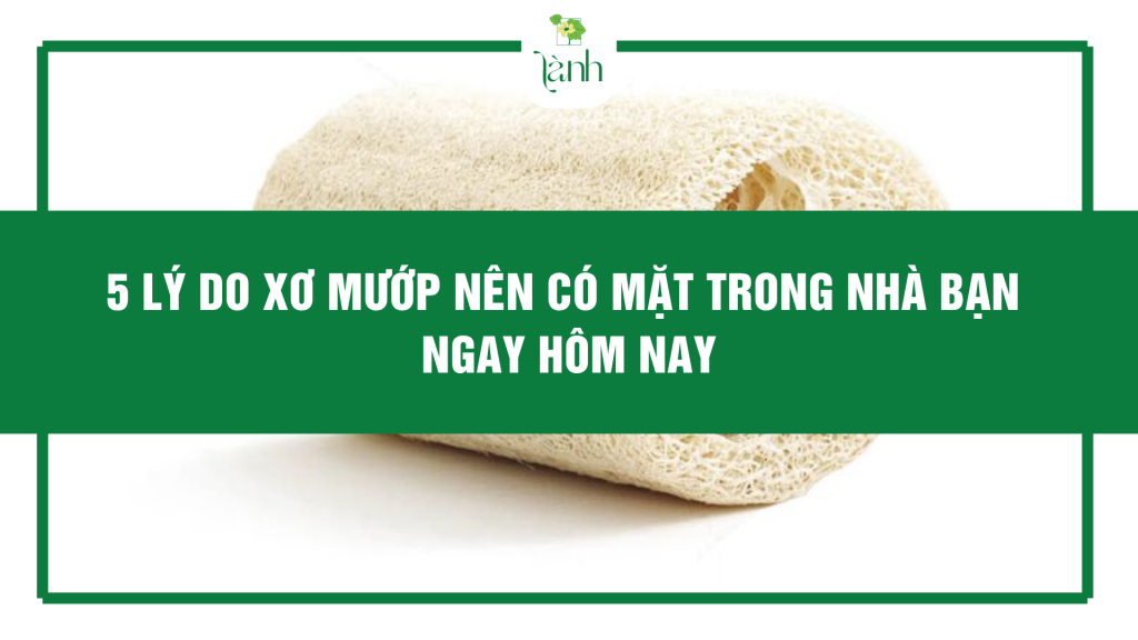 xơ mướp