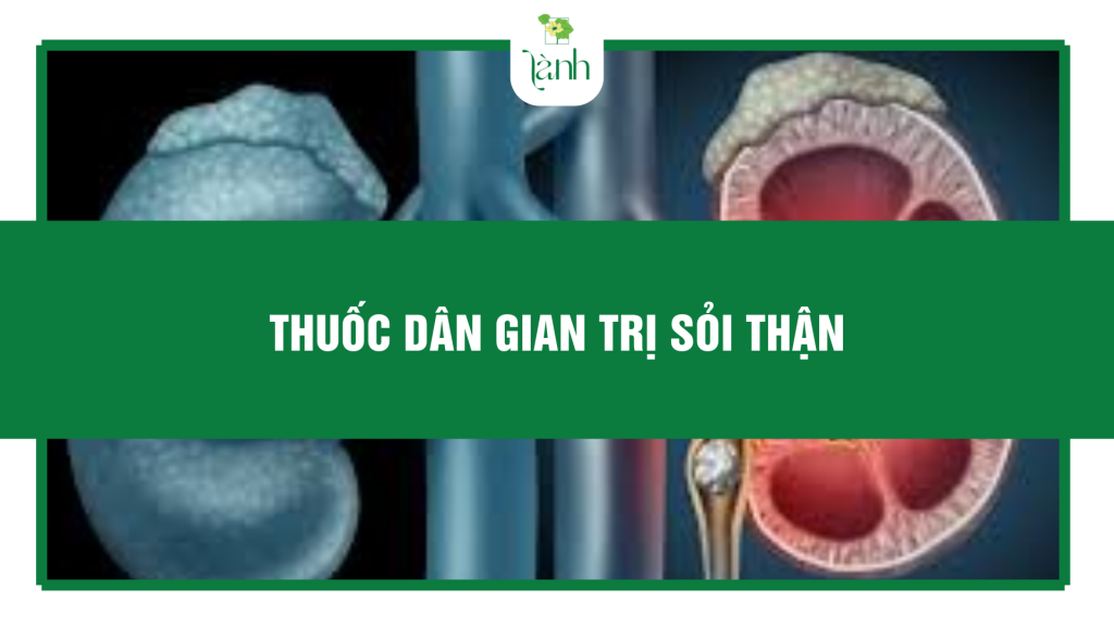 thuốc dân gian trị sỏi thận