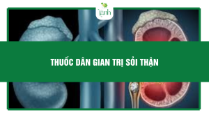thuốc dân gian trị sỏi thận
