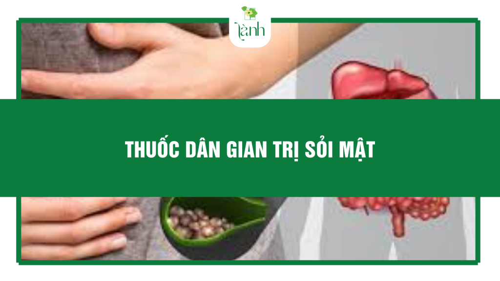 thuốc dân gian trị sỏi mật